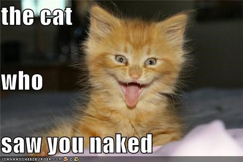 the cat who saw you naked Ashlynn brooke xxx